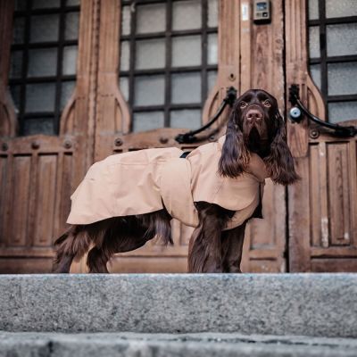 PAIKKA koiran sadetakki, heijastava taupe (40 cm)