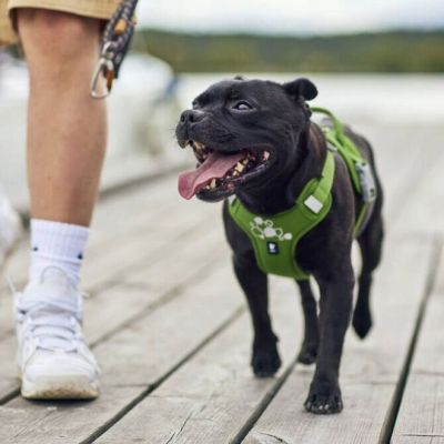 Hurtta Weekend Warrior II ECO valjas persilja (40-50)