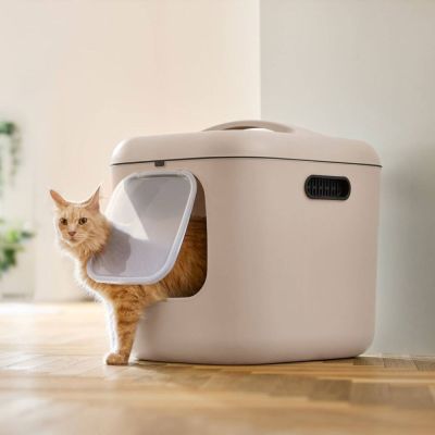 Rotho MyPet Biala Kissanvessa XL