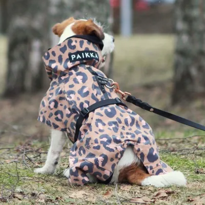 PAIKKA Visibility Raincoat Lite -koiran sadetakki, leo (65 cm), kuva 1 / 1