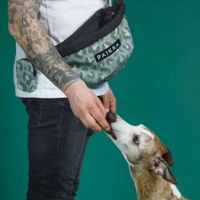 PAIKKA Visibility Treat Bag vyölaukku, green leo
