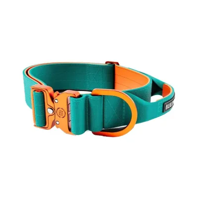 BullyBillows Combat Kahvapanta, turkoosi-oranssi 5 cm (S)
