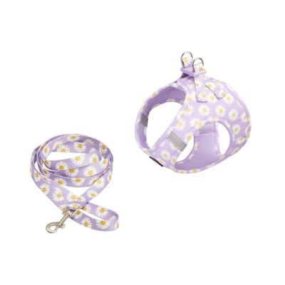 Basic Cat Daisy valjassetti, lila (S)