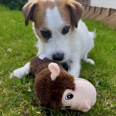 Party Pets Apinapötkö 28 cm (Ruskea)