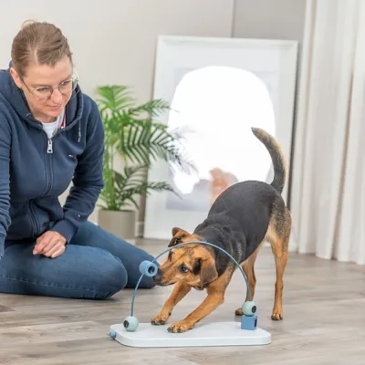 Trixie Dog Activity Skills Loop, kuva 1 / 1