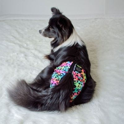 RuttuNuttu juoksupöksyt kietaisumalli, sateenkaari leo (XS)