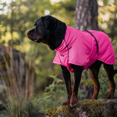 Back on Track verkkoloimi Limited Edition, Hot Pink (70 cm)