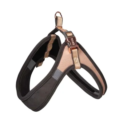 Pienten koirien valjaat Rogz Urban Fast-Fit, kulta (xs/s)