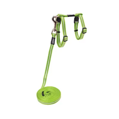 Rogz AlleyCat heijastava valjas-hihnasetti (Lime)