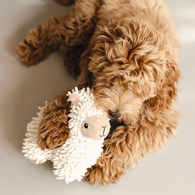 Beeztees Eco Sheep Jovi