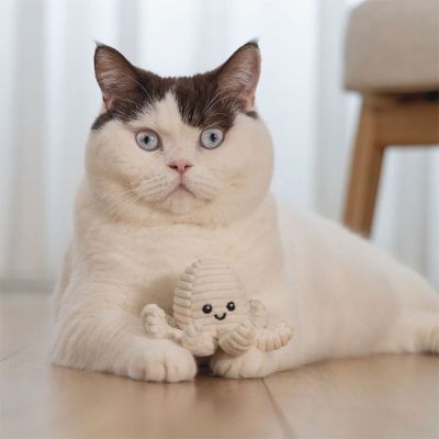 Beeztees Eco Cat Octopus Nome