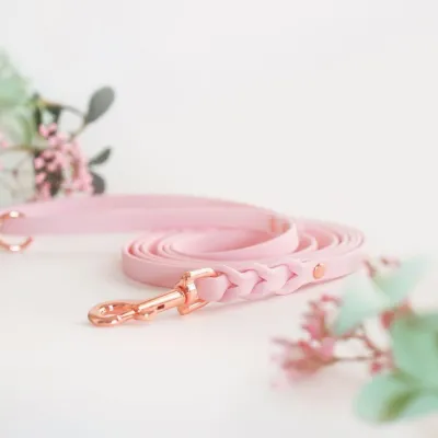 Tyylivoitto Braid talutin, baby pink/ruusukulta (9mm x 200cm), kuva 1 / 1
