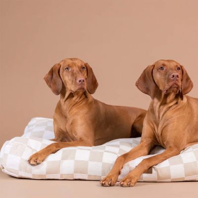 Koiran patja PAIKKA Check (M)