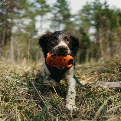 Non-stop Dogwear Non-Stop Dog kuminen aktivointilelu