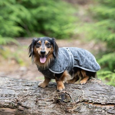 Icepeak Flen välikausitakki, harmaa (M)