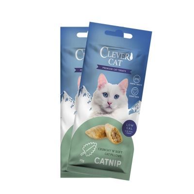 Clever Cat Pillow Catnip 30g