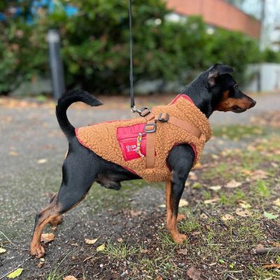 51 Degrees North Jules takki valjailla, ruskea (24 cm)