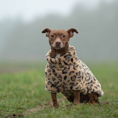 51 Degrees North Turtle Teddy, leopardi (28 cm)