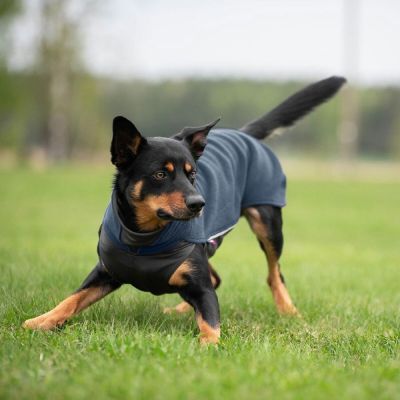 JumppaPomppa Midnight (31)