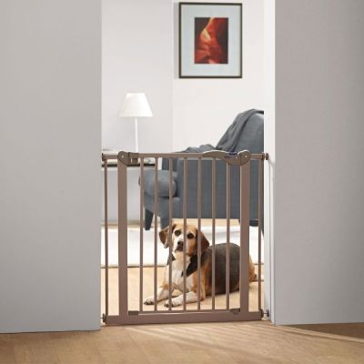 Lemmikkiportti Savic