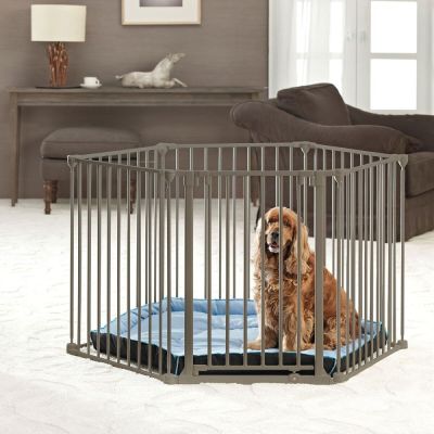 Savic Deluxe, pentuaitaus