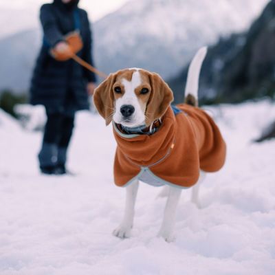 Woolly Wolf Alpha 360 Koiran fleecepusakka, Terracotta Mix (65 cm)