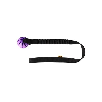 Dingo Bungee Vetolelu pallolla