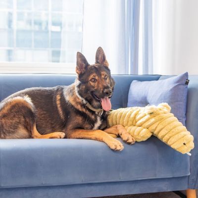 Quapas! Alligaattori (66 cm)