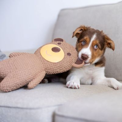 Quapas! Lateksinalle XXL