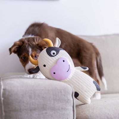 Quapas! Lateksilehmä XXL