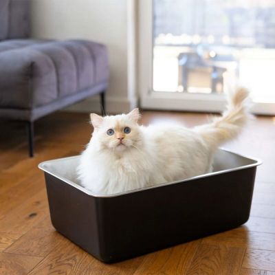 Quapas! Hiekkalaatikko ruostumaton teräs, musta