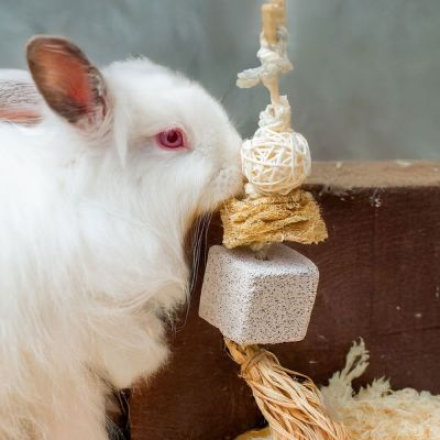 Quapas! Rodent Natural 1, pieneläimen puuhalelu