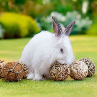 Quapas! Puuhalelulahjalaatikko, 8 kpl