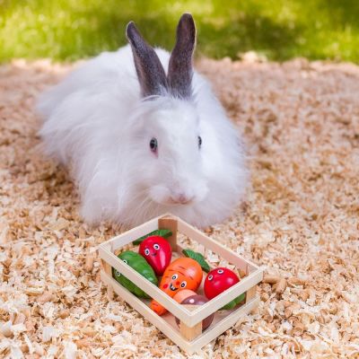 Quapas! Kasvislaatikko