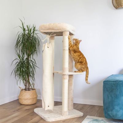 Quapas! Raapimapuu kiipeilypussilla 136 cm