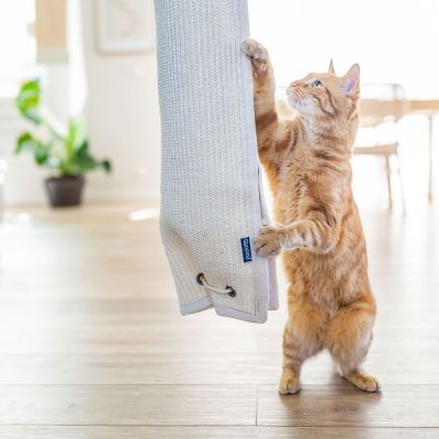 Quapas! Seinätaso kiipeilypussilla 150 cm