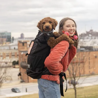 K9 Sport Sack Air 2 -koiran kantoreppu, musta (L)