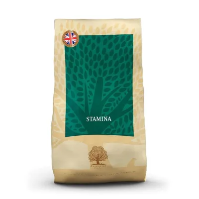 Essential Foods ESSENTIAL STAMINA 10kg