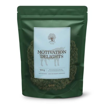 Essential Foods ESSENTIAL Motivation Delights 500g