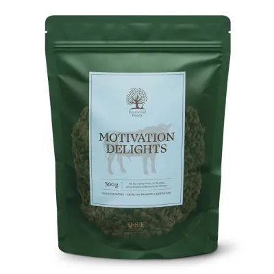 Essential Foods ESSENTIAL Motivation Delights 500g