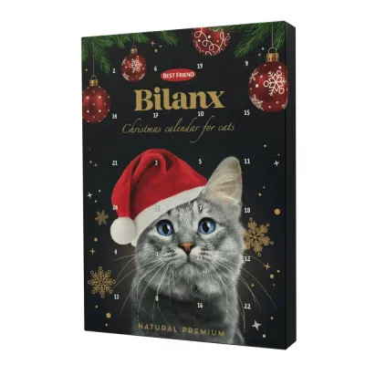 Kissan joulukalenteri Best Friend Bilanx 80g