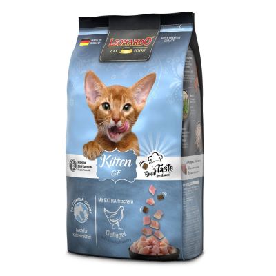 Leonardo Kitten GF (1,8 kg)