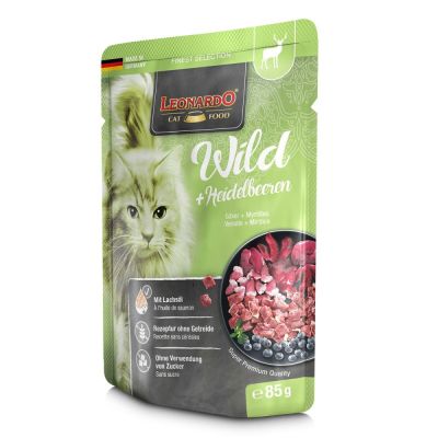 Leonardo riista & mustikka