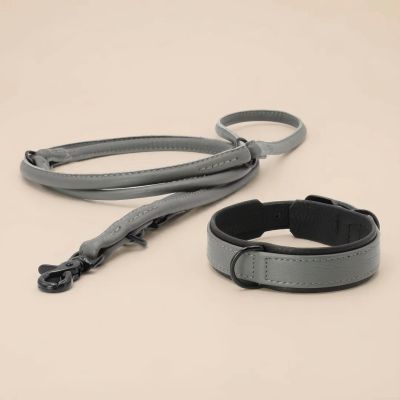 Laboni Amici kaulapanta + hihna setti - Antrasiitti, S