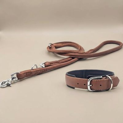 Laboni Amici kaulapanta + hihna setti - Konjakki, XXL