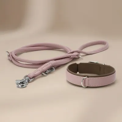 Laboni Amici kaulapanta + hihna setti - Ruusu, L, kuva 1 / 1