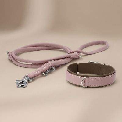 Laboni Amici kaulapanta + hihna setti - Ruusu, XL