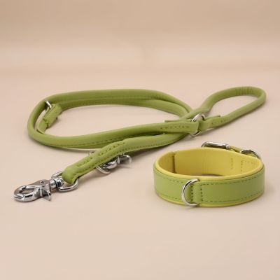 Laboni Amici kaulapanta + hihna setti - Sitruuna, XS