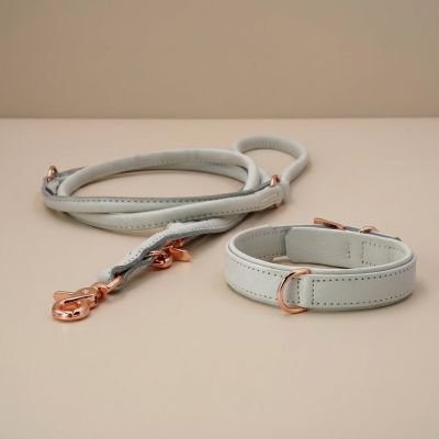 Laboni Amici kaulapanta + hihna setti - Vaalean harmaa, XL