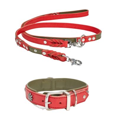 Laboni Edelweiss kaulapanta ja talutushihna, M